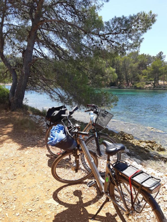 Appartement Lizzi. Trogir